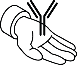 Services icon of a hand holding a custom designed monoclonal antibody