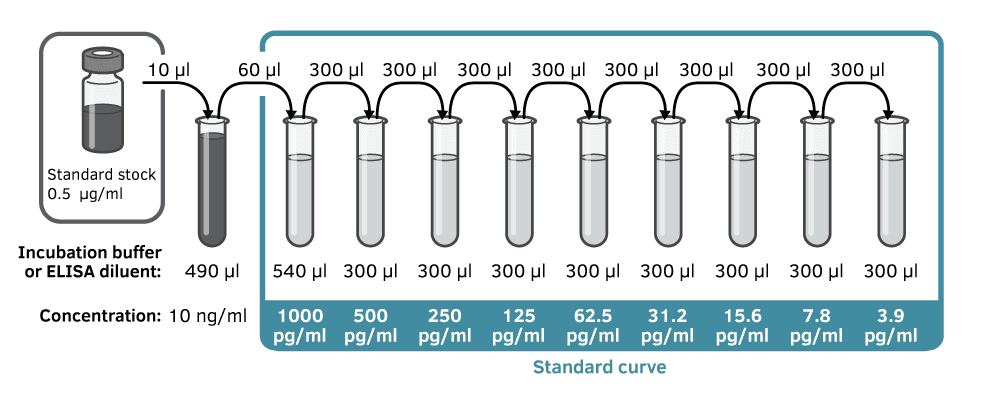 IFN alpha ELISA Flex standard curve