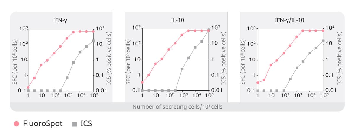 FluoroSpot vs ICS