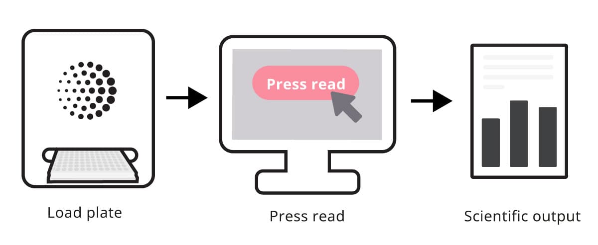 Straight-forward workflow with Mabtech IRIS