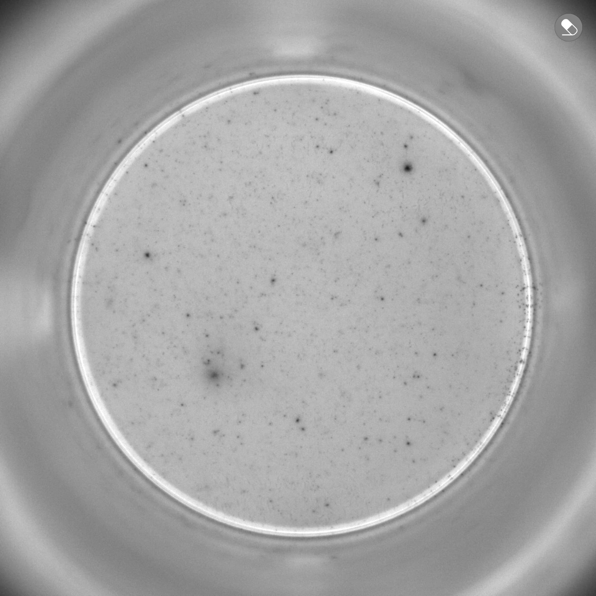 unstimulated Mpox infected (CD4 Vaccinia PepPool)