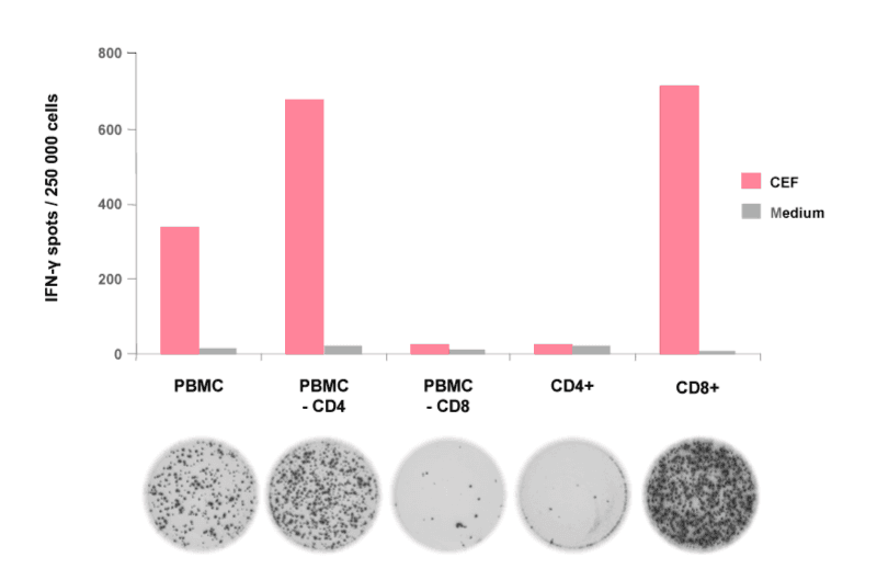 CEF peptide pool