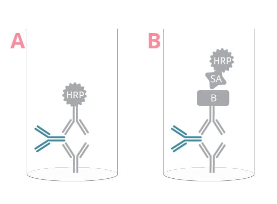 Total immunoglobulin