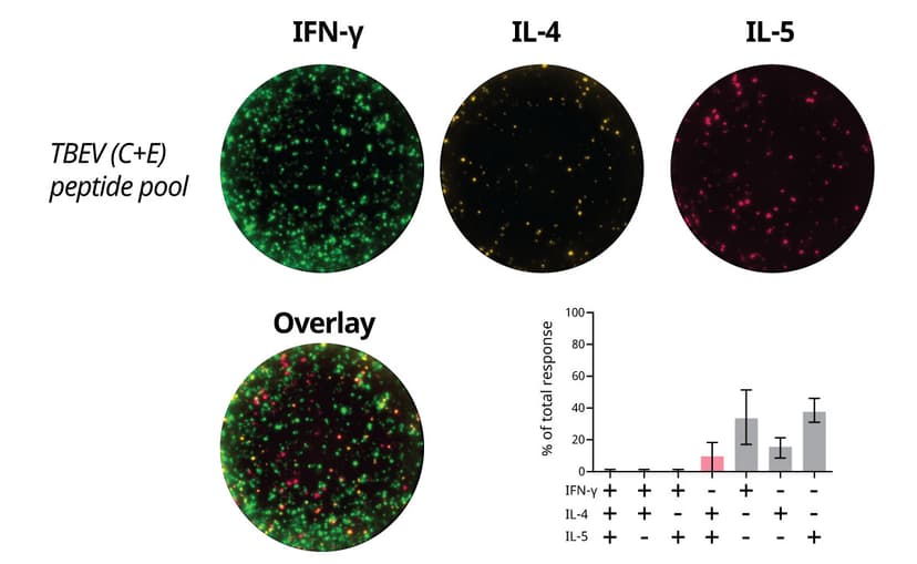 IFN-ү/IL-4/IL-5 FluoroSpot using PepPool: TBEV (C+E), scanning​