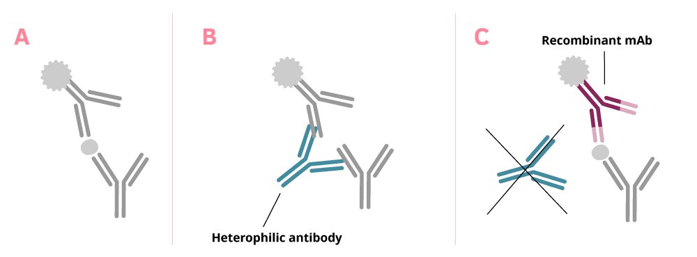 ELISA PathRF assay principle