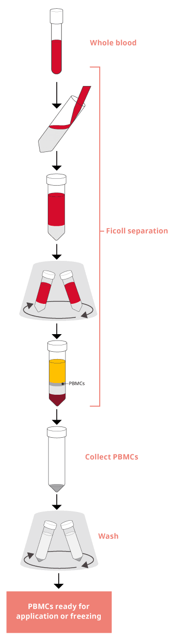 Isolating PBMCs