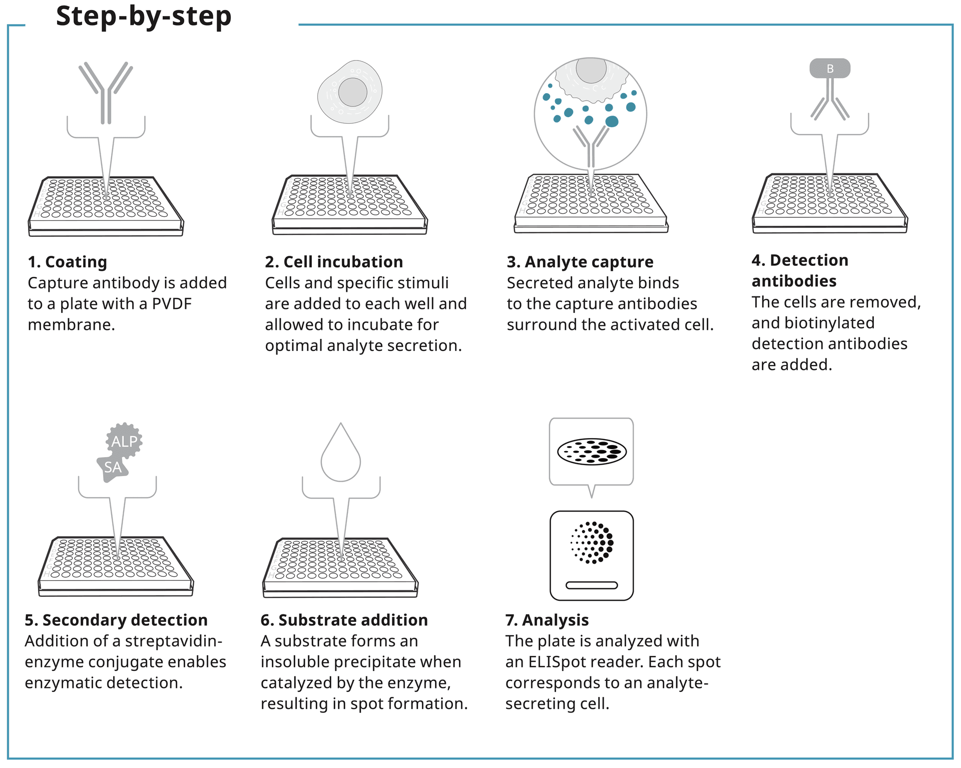 ELISpot