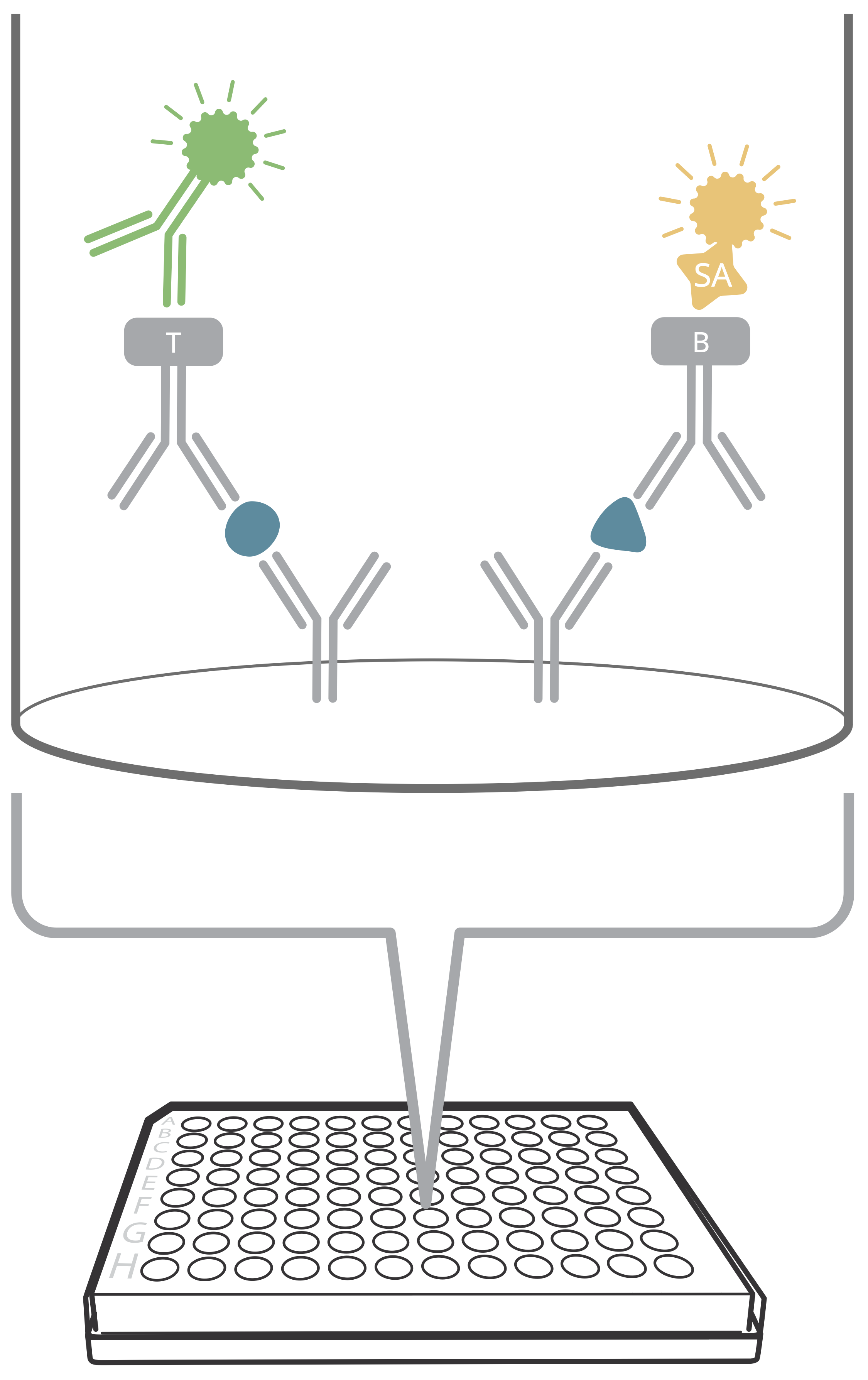 FluoroSpot principle