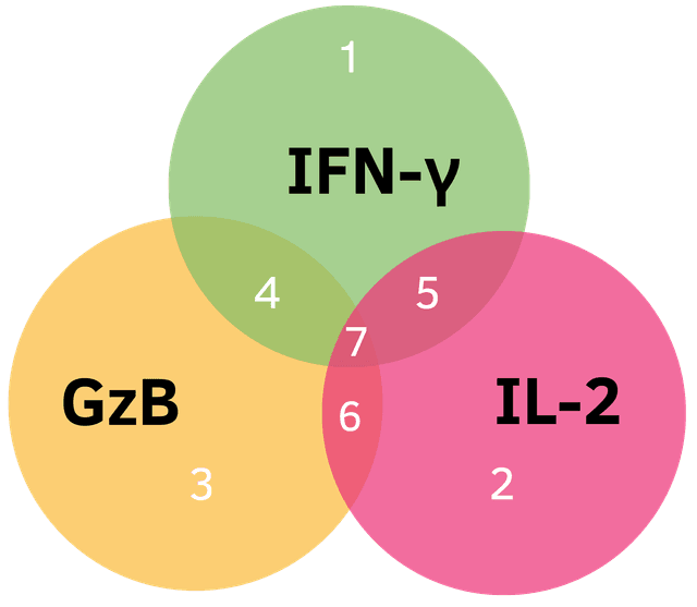 3-color FluoroSpot populations