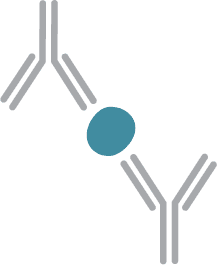 mAb pair sandwiching the target analyte