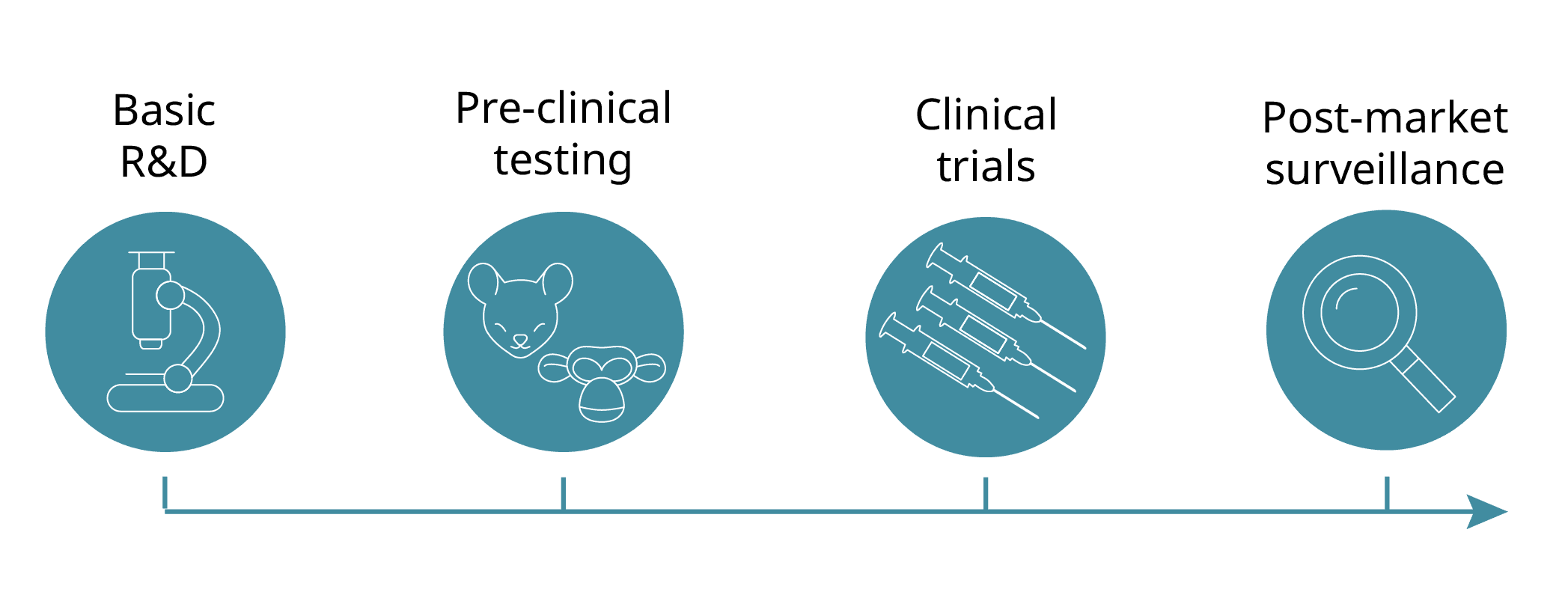 Illustration of steps where ELISpot can be used in vaccine development