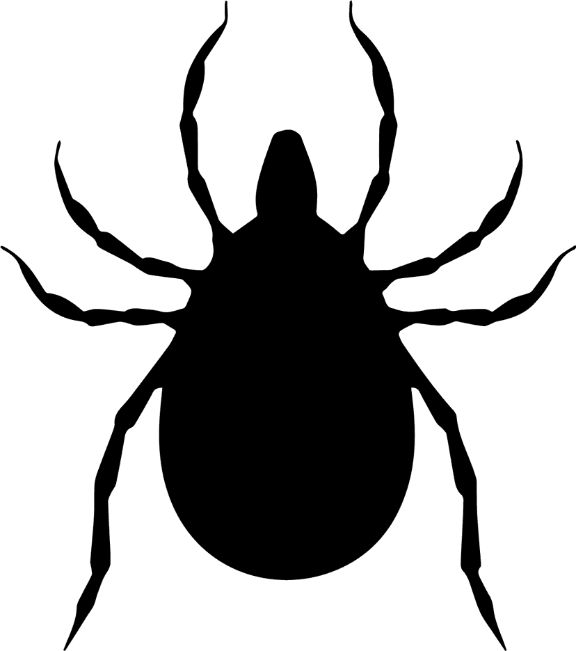 TBE is caused by a tick-bite