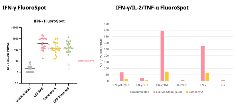 FluoroSpot data comparing CEFRAS and competitor pools