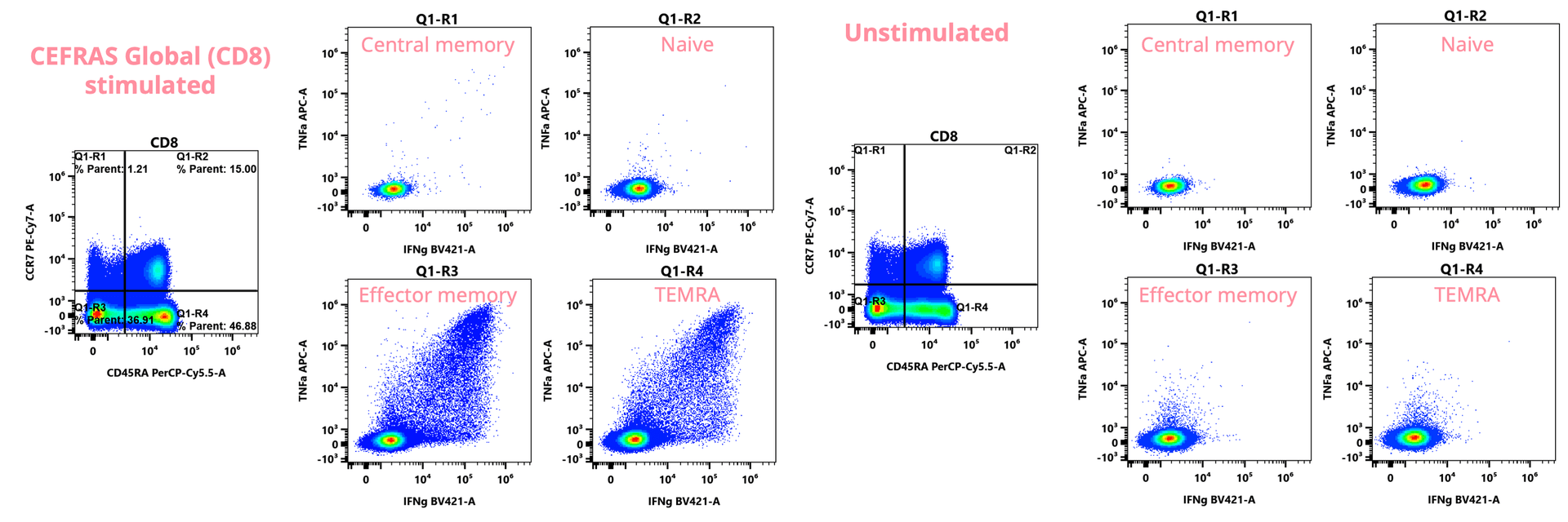 FACS plots of CD8 T cell and IFNg or TNF production