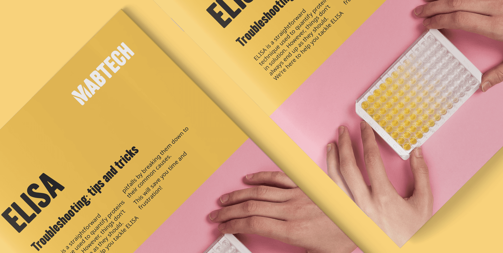 Blog header image